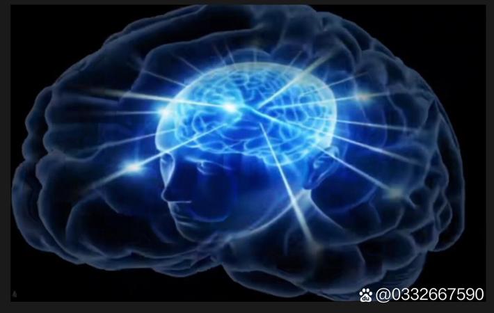 黑料吃瓜网 - 某流量小花与经纪公司解约，天价违约金引热议